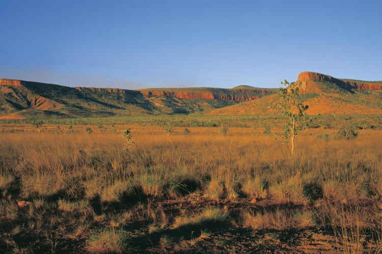 Cockburn Range